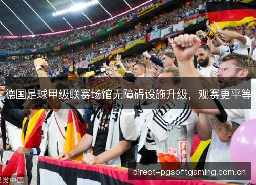 德国足球甲级联赛场馆无障碍设施升级,观赛更平等 德国足球甲级联赛场馆无障碍设施升级,观赛更平等